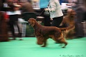 Crufts2011 679